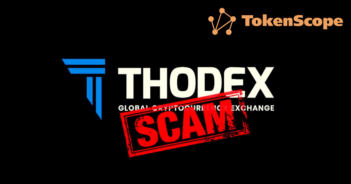 Investigation analytics on "Thodex" scam