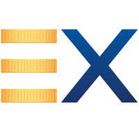 NetEx24 logo