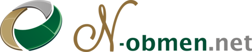 N-Obmen logo